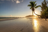 Fototapeta Miasta - Tropical beach in raining time with coco palms and the turquoise sea at sunrise on Seychelles island.	