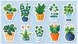 Plant in pot vector sticker illustration set.