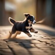 A playful puppy with a wagging tail, chasing after a bouncing ball3