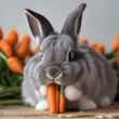 A fluffy gray bunny with long ears, nibbling on a carrot stick1