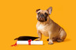 Cute French Bulldog with mortar board and diploma on yellow background