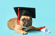 Cute French Bulldog in mortar board with diploma on blue background