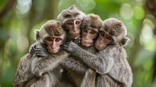 A Cuddly Group Of Monkeys Grooming Each Other In A Tranquil Rainforest Setting   AI Generated Illustration