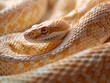 Extreme macro shot of snake skin texture