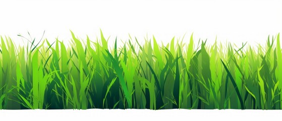 Poster - tufts of green grass isolated on white background