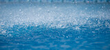 Fototapeta Tulipany - water drops on blue background
