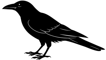 Poster -  crow ,  bluebird and svg file