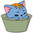 A blue pet kitten is soaking in a bucket