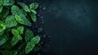 Fresh mint leaves with water droplets on dark background