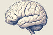 A brain drawing with a blue and white color scheme