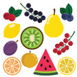 Summer juicy delicious fruits and berries vector cartoon illustration