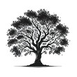 Free vector Tree silhouette isolated on white background.