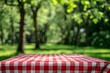 A red and white checkered tablecloth covers an outdoor picnic table, set against a blurred background of green trees in the park.