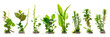 HD Aquatic Plants