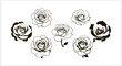 © Iryna - Doodle rose icon isolated Hand drawing line art Flower sketch Vector stock illustration EPS 10