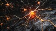 An active neuron with glowing connections on a dark background.