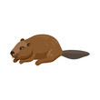 vector drawing beaver, cartoon animal isolated at white background, hand drawn illustration