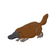 vector drawing duck-billed platypus, cartoon animal isolated at white background, hand drawn illustration