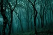 Mysterious forest in the morning mist,  Dark foggy forest