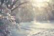 Winter background with snowflakes and trees,  Beautiful winter landscape