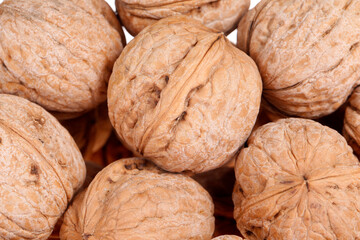 Wall Mural - Walnuts are isolated on a white background,