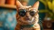 Cute cat wearing sunglasses on blurred background, closeup