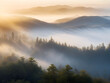 Sunrise in the mountains. Viewed from the top of the mountains. The very dense trees are covered in beautiful mist. The upper layer of fog is exposed to sunlight so it turns golden.