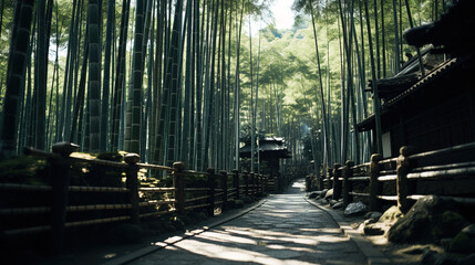 Wall Mural - bamboo forest in the morning.