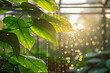 Interior of a Greenhouse in the Serene Morning Light, Focusing on How the Sunlight Reflects Off the Leaves of Plants and the Moment Water Droplets Catch the Light and Sparkle