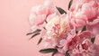 a bouquet of soft pink peonies set against a matching pastel pink background