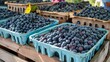 Organic blueberries on the market.