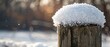 Snow cap on fence post, close up, soft heap, detailed texture, winter sun