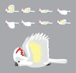 Moluccan Cockatoo Flying Animation Sequence Cartoon Vector