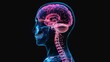© Palung - 3D x-ray illustration of human brain from side view. The brain in glow color. Medical reference picture