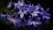 blue iris flower