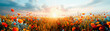 © Nano Photos - A vibrant field of red poppies bask in the glow of a tranquil sunset under a clear sky.