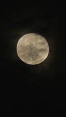 Wall Mural - Full Moon in the dark night sky with black flying clouds. Real shooting through a telephoto lens