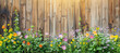 Flowers and wooden fence in summer backyard garden