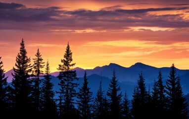 Sunset and silhouettes of trees in the mountains