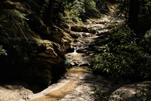 Stream Up From The Himalayan Forest