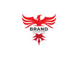 Professional logo design for your unique brand identity