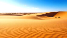 Desert Landscape Smooth Sand Dunes Rich Golden Tones Of The Sand With The Soft Blue Sky. Few Green Plants Are Visible In The Foreground Undisturbed Natural Scene