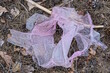 garbage from one torn pink plastic bag lies on gray earth in the street