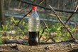 one plastic bottle with a black drink lemonade standing on a gray tree branch in nature
