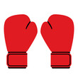 Mixed martial arts equipment: boxing gloves