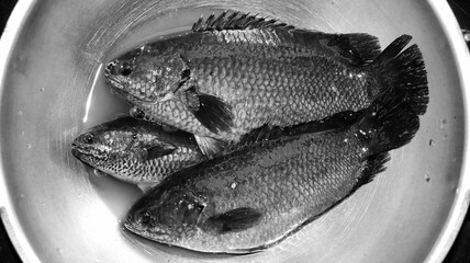 Grayscale closeup shot of a bowl of raw fish