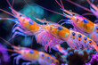 The Vibrancy of Underwater Life As Seen Through a Shrimp's Hues