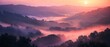 Sunrise mist in valley, close up, soft colors, detailed textures, serene