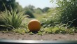 Eine orange liegt auf dem Boden, umrahmt von Gras, während die Sommersonne auf sie herabscheint. Idyllische Szene mit leuchtenden Farben und warmem Licht.