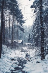 Poster - A small cabin in the middle of a snowy forest. Suitable for winter themes